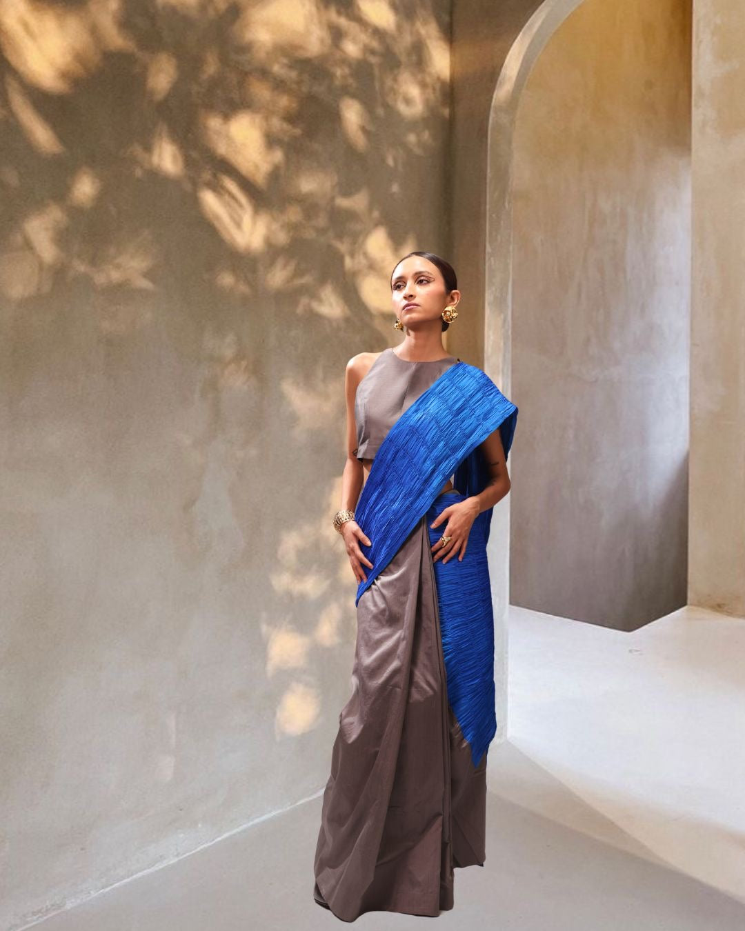 Mono-Pop Sari with Top